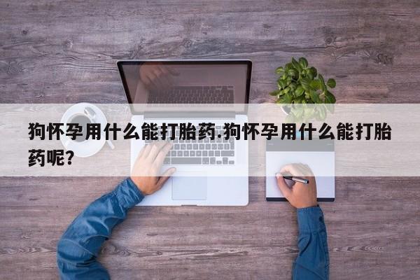 打胎药微信联系方式，狗怀孕用什么能打胎药.狗怀孕用什么能打胎药呢？