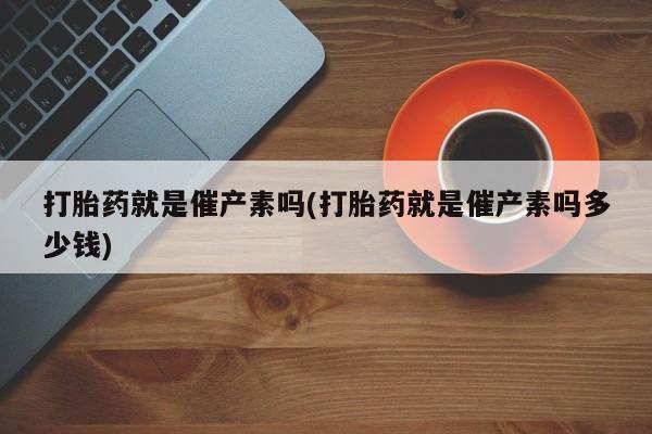 admin 第217页