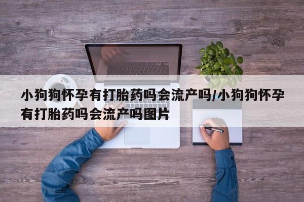 打胎药微信联系方式，小狗狗怀孕有打胎药吗会流产吗/小狗狗怀孕有打胎药吗会流产吗图片