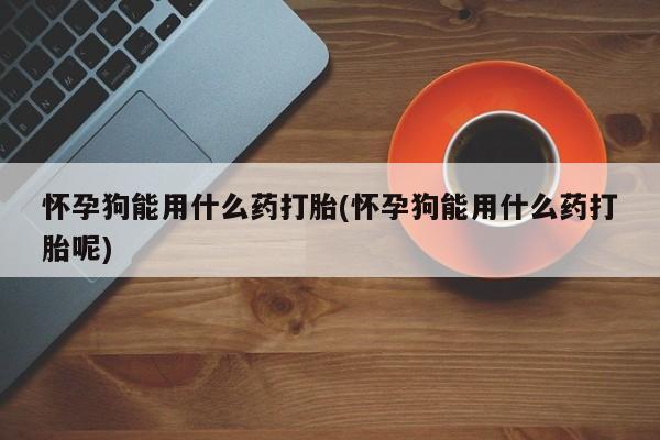 打胎药微信联系方式，怀孕狗能用什么药打胎(怀孕狗能用什么药打胎呢)